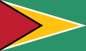 Flag_of_Guyana.svg